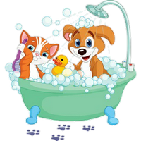 a cat and dog taking a bath